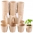 50 Pcs 6cm Garden Round Peat Pots Plant Seedling Starters Cups Nursery Herb Seed Tray Planting Tools Eco-friendly Biodegradable